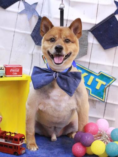 20230405やまとくん